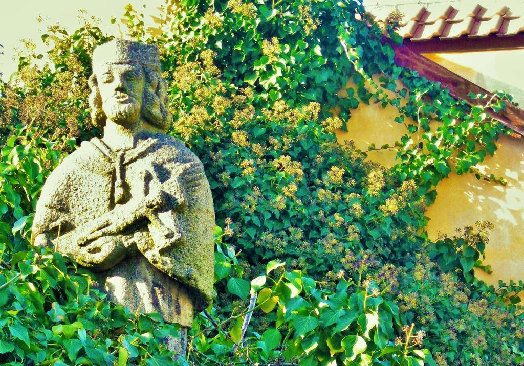 Garden Residence Prague Castle ภายนอก รูปภาพ