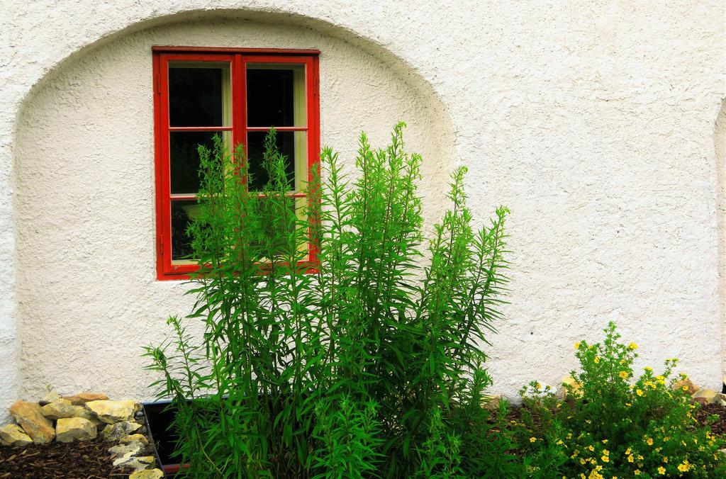 Garden Residence Prague Castle ภายนอก รูปภาพ